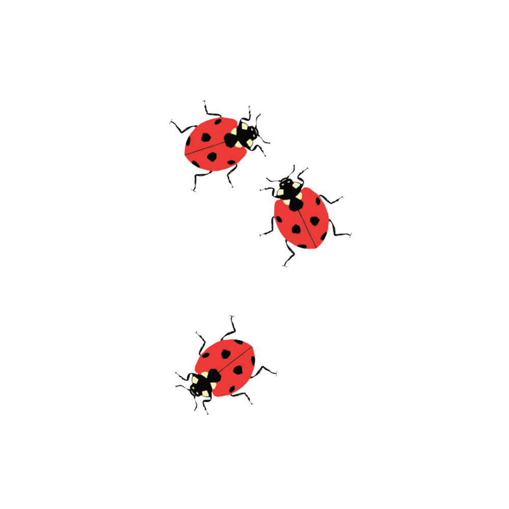 [Tattly] Ladybugs 타투스티커