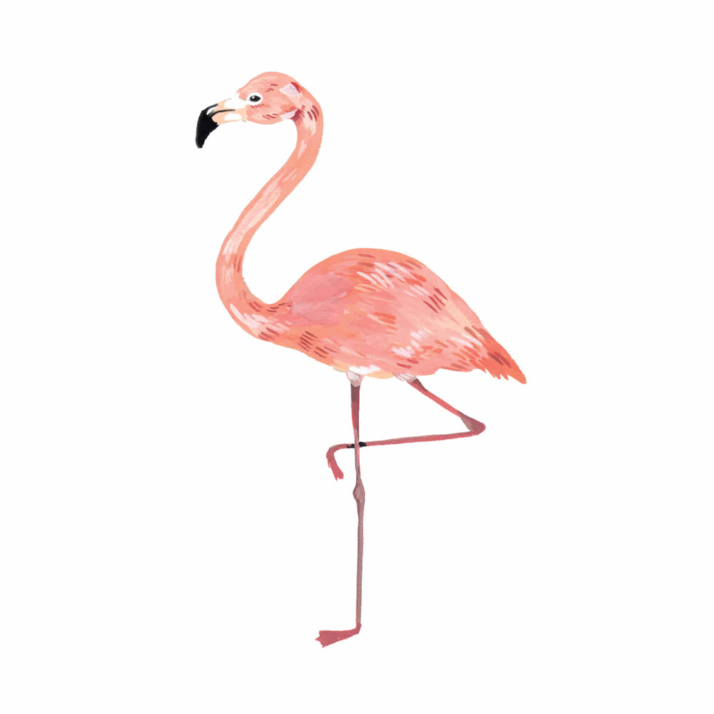 [Tattly] Flamingo 타투스티커
