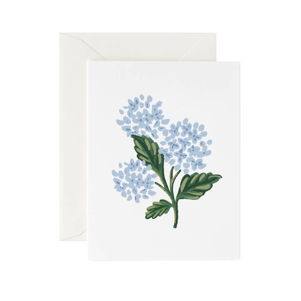 라이플페이퍼 Hydrangea Bloom Card 일상 카드