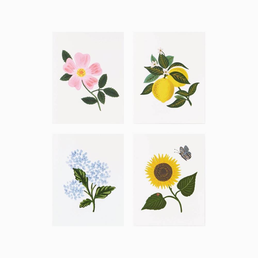 라이플페이퍼 Assorted Botanical Blossom Set 카드 세트