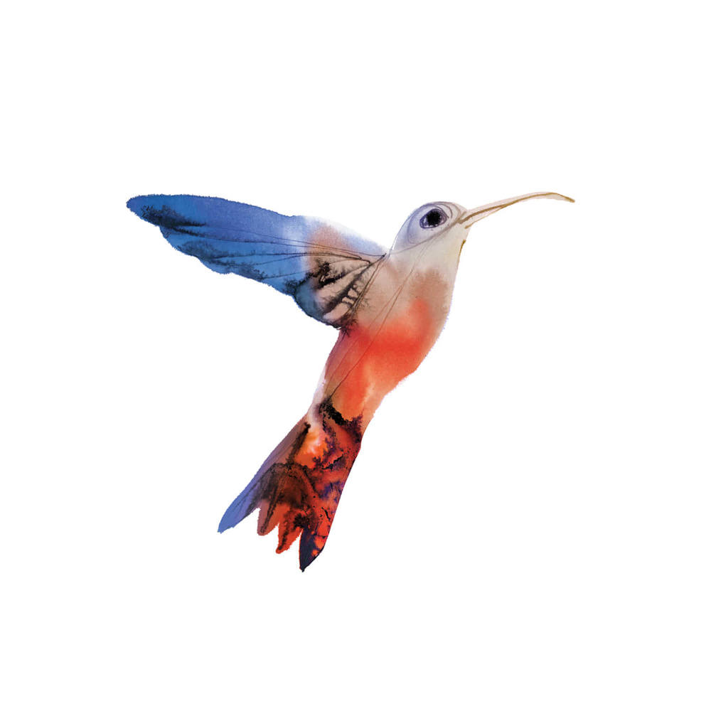 [Tattly] Watercolor Hummingbird 타투스티커