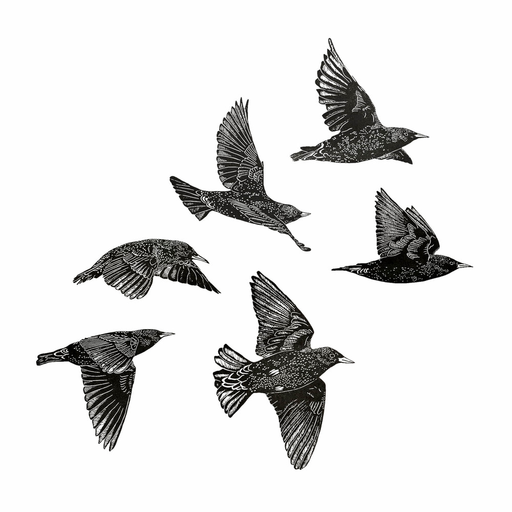 [Tattly] European Starlings 타투스티커 시트
