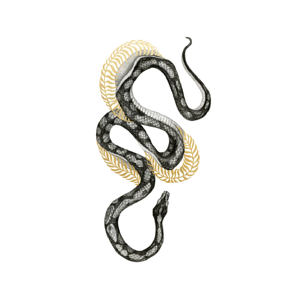 태틀리 Shimmering Serpent 타투스티커 페어 2매