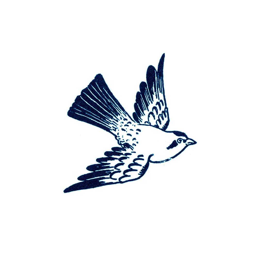 [Tattly] Cartolina Bird 타투스티커