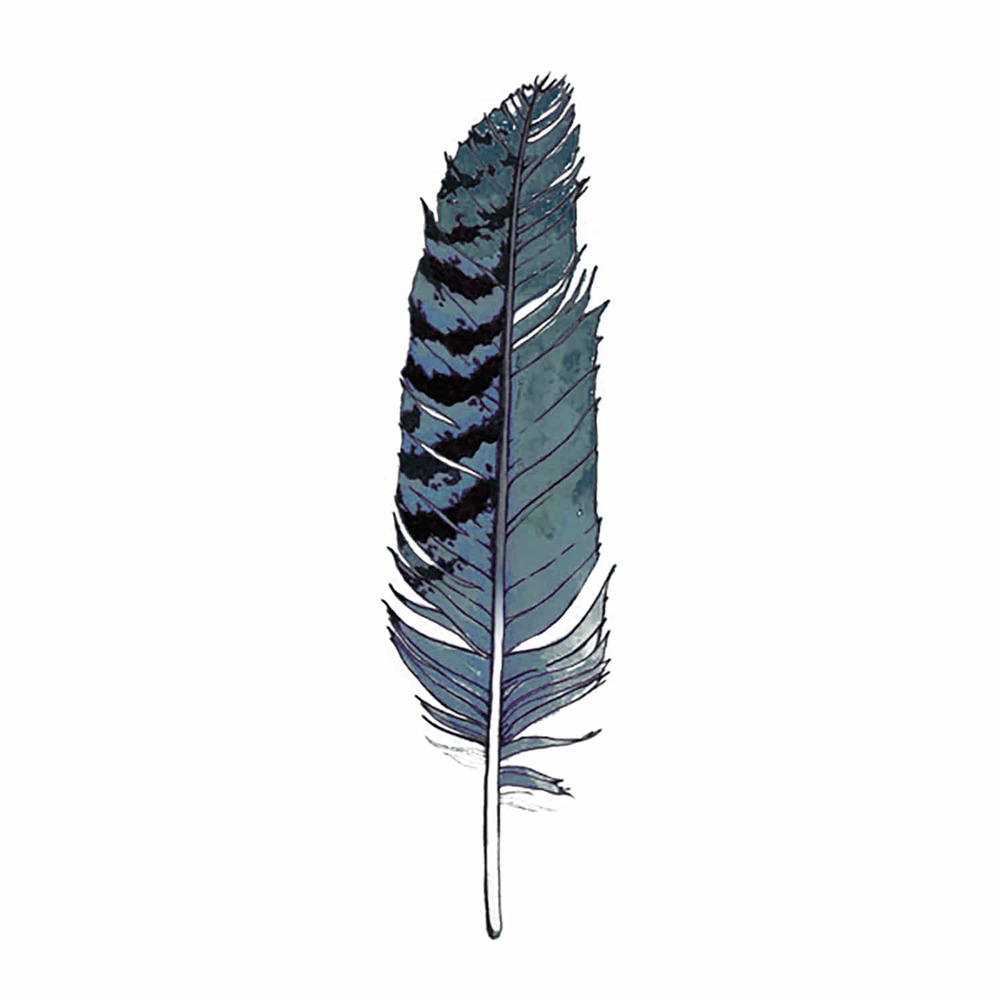 [Tattly] Blue Jay Feather 타투스티커