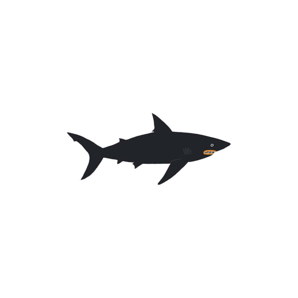 [Tattly] Dark Waters Shark 타투스티커