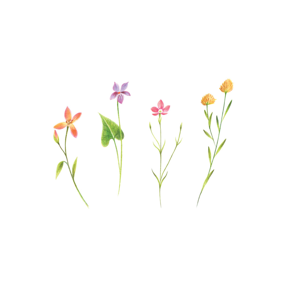 [Tattly] Petite Florals 타투스티커