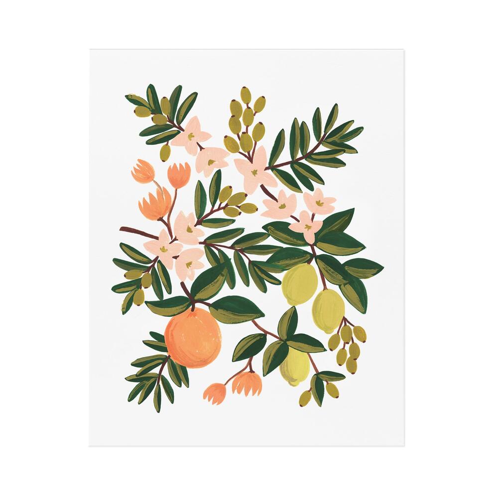 [Rifle Paper Co.] Citrus Floral Art Print 2 size
