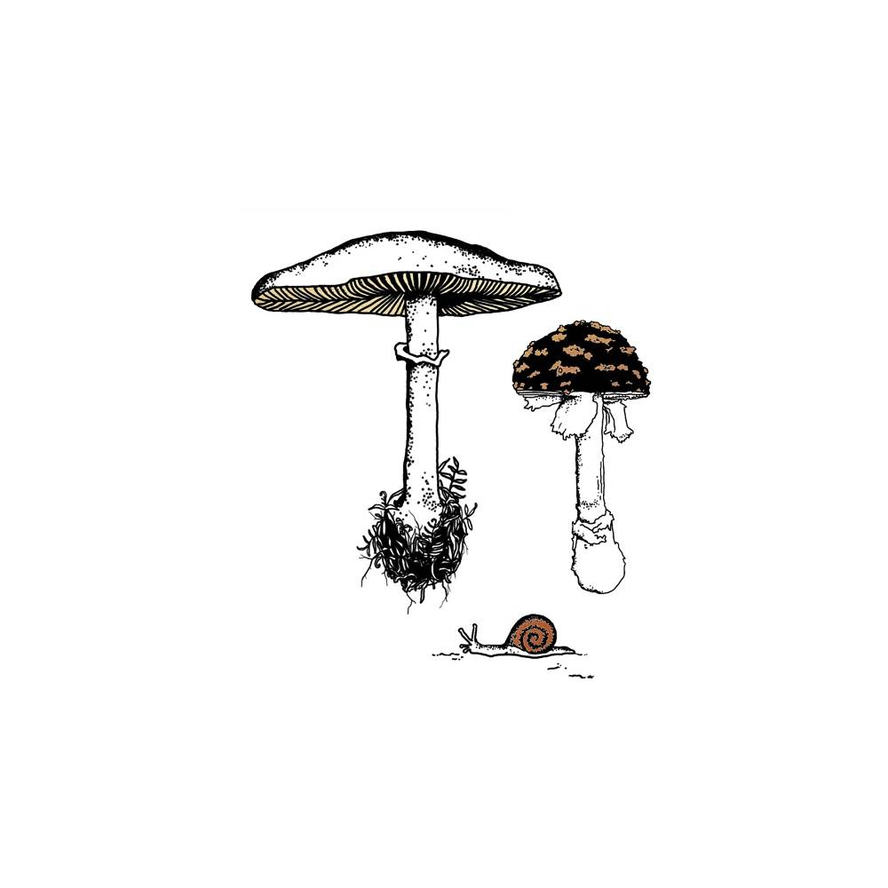 태틀리 Fungi Garden Trio 타투스티커 페어 2매
