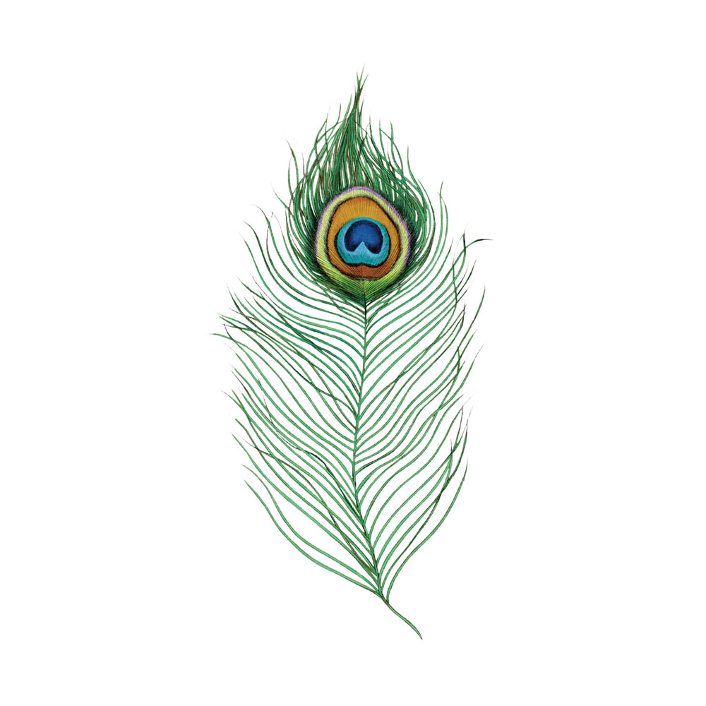 [Tattly] Peacock Feather 타투스티커