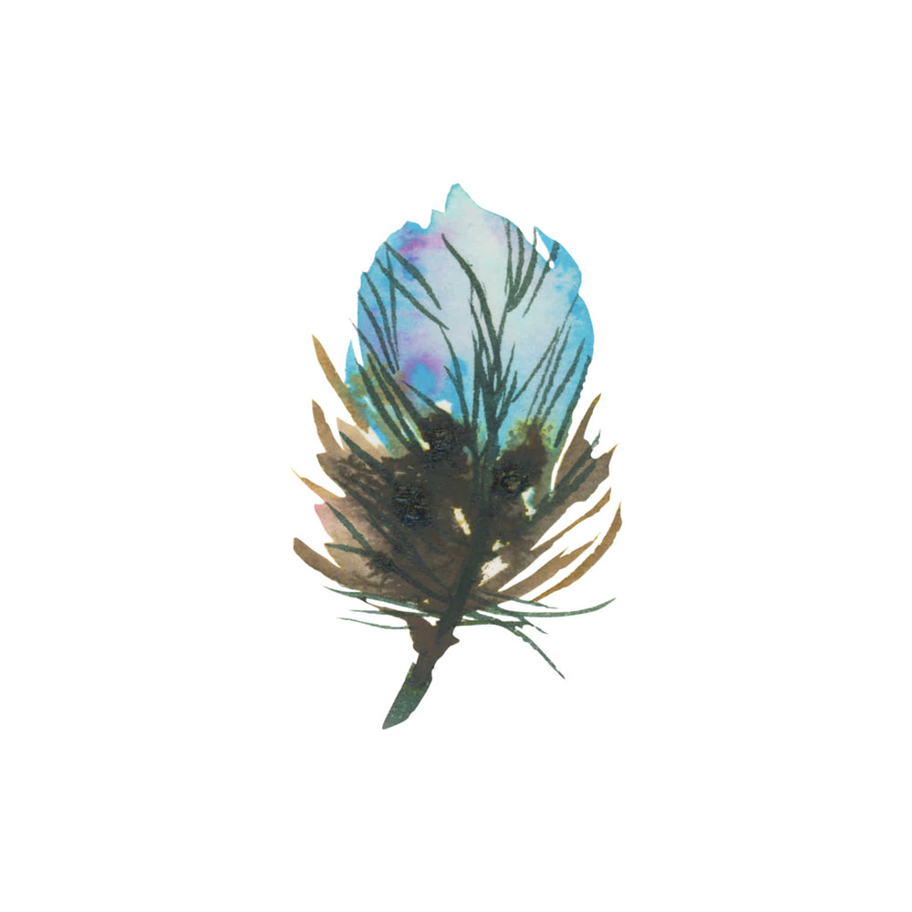[Tattly] Blue Feather 타투스티커