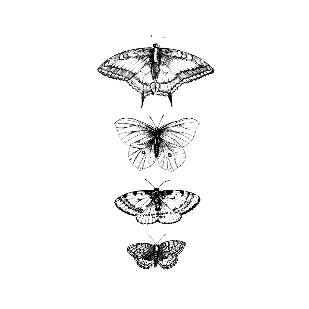 [Tattly] Butterflies Detail 타투스티커